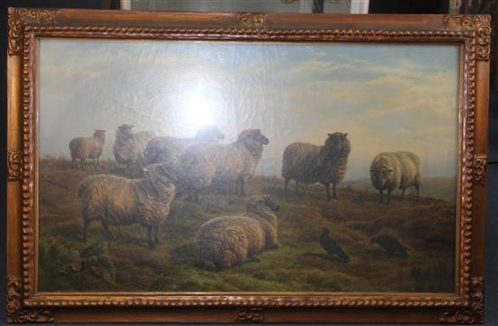 Charles Jones (1836-1892) Sheep on the moors, 24 x 40in.